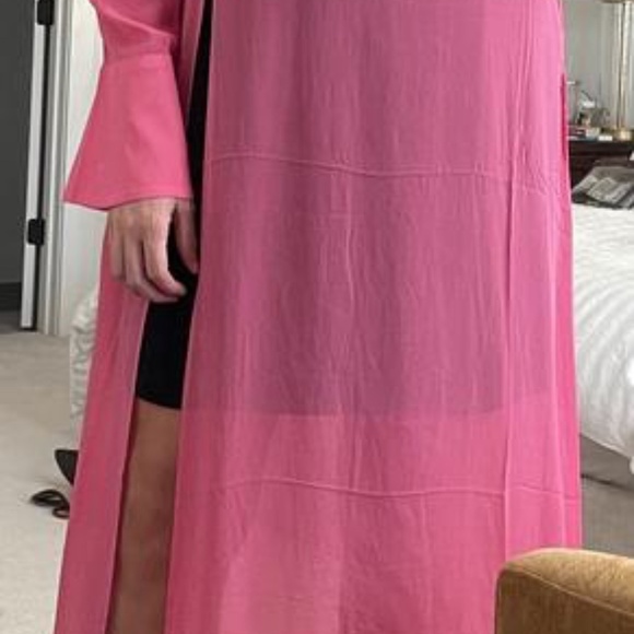 NWT Anthropologie Pink Sheer Tunic Large Petite - Picture 3 of 8